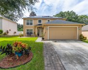 586 Wekiva Bluff Street, Apopka image