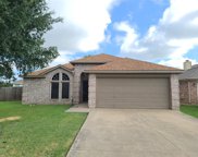 10408 Fossil Hill  Drive, Fort Worth image