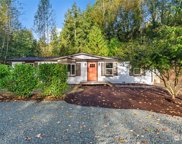 13314 Spring Site Road E, Orting image