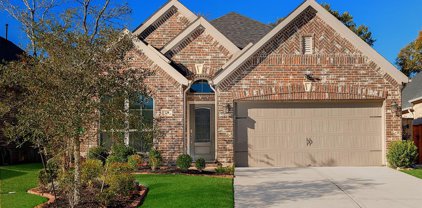 229 N Bearkat Court, Montgomery