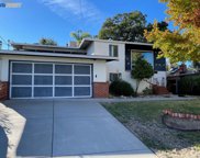 1230 Temple Dr, Pacheco image