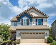1230 Hideaway Gulch  Drive, Fort Mill image