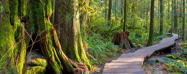Hiking Trail