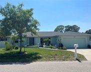 715 Ixora Avenue, Ellenton image