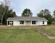 13435 Lilac Lane, Stapleton image
