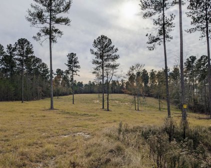 LOT 1 ANDERSON POND Road, Aiken