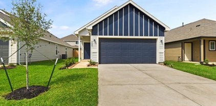 2490 Carp Drive, Conroe