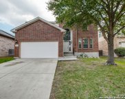 12730 Point Cyn, San Antonio image
