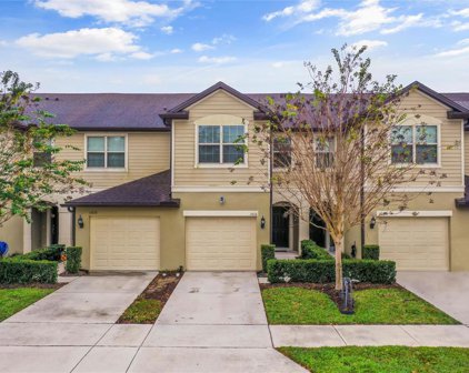 1016 Pavia Drive, Apopka