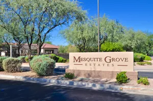 Search Mesquite Grove Real Estate