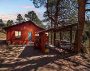 6517 S Brook Forest Road, Evergreen image