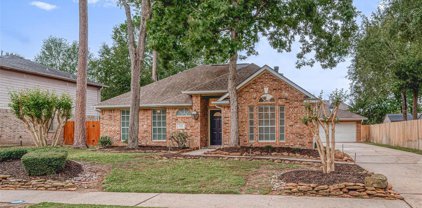 26881 Palace Pines Drive, Kingwood