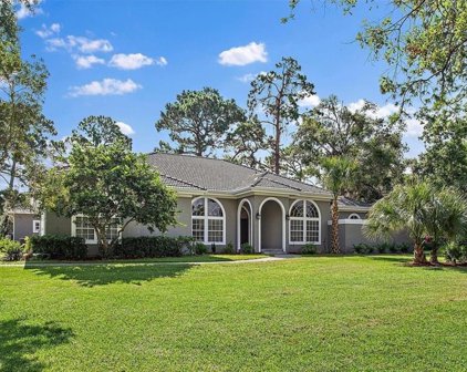 183 Vista Oak Drive, Longwood