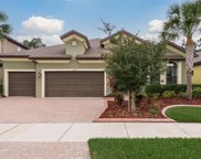13717 Moonstone Canyon Drive, Riverview image