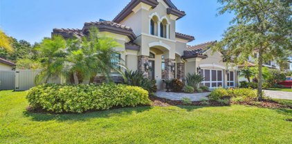 2165 Majestic Oaks Boulevard, Clearwater