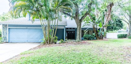 1733 Pine Hill Court, Safety Harbor
