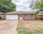 10213 Lone Eagle  Court, Fort Worth image