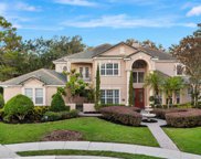 1078 Ceasars Court, Mount Dora image