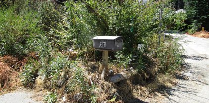 311 Boulder Brook DR, Boulder Creek
