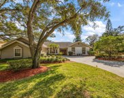 2923 Elysium Way, Clearwater image