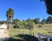 Birch, Escondido image