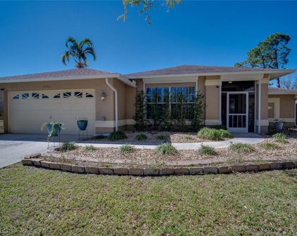 13761 Willow Bridge Drive, North Fort Myers