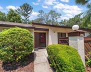 2924 Star Apple Court, Palm Harbor image