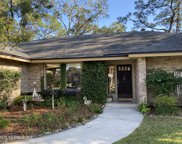 13445 Mossy Cypress Dr, Jacksonville image