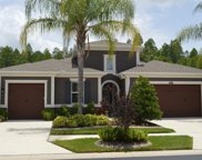 1694 Whitewillow Drive, Wesley Chapel image