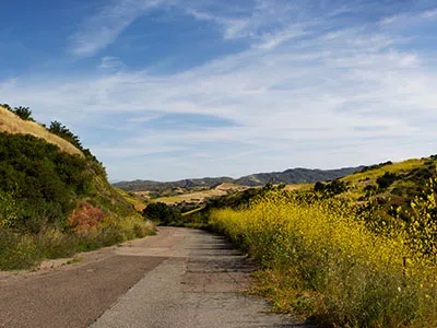 Irvine CA Lease to Own Homes Search