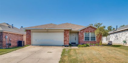 1119 Singletree  Drive, Forney