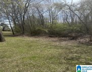 3374 Cooks Moore Road, Trussville image