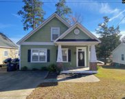 216 Old Cedar Point, Chapin image