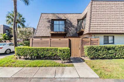 15310 E Pond Woods Drive Unit 15310, Tampa