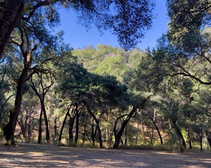 10 Garzas TRL, Carmel