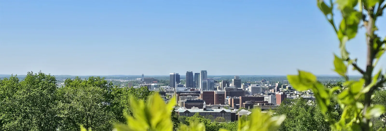 Milton Halton Area Homes for Sale