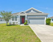 30735 Water Lily Drive, Brooksville image