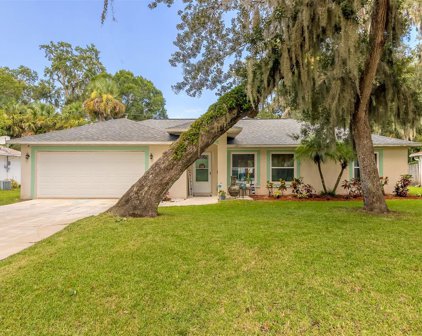 3027 Mango Tree Drive, Edgewater