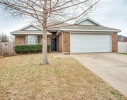 5021 Mountain Valley  Court, Fort Worth image