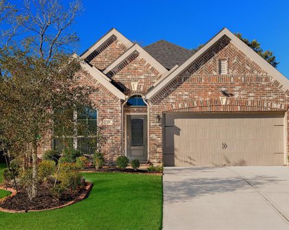 229 N Bearkat Court, Montgomery