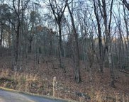 120 Silver Fox Loop, Waleska image
