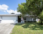 8102 Buttonball Lane, Port Richey image