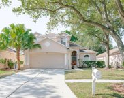 3833 Bellewater Boulevard, Riverview image