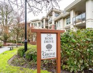 245 Ross Drive Unit 308, New Westminster image