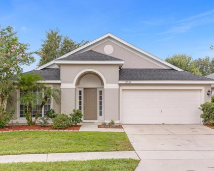 10930 Buckwater Court, Orlando