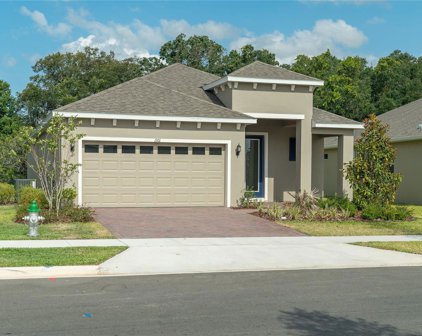 1101 Hendon Loop, Davenport