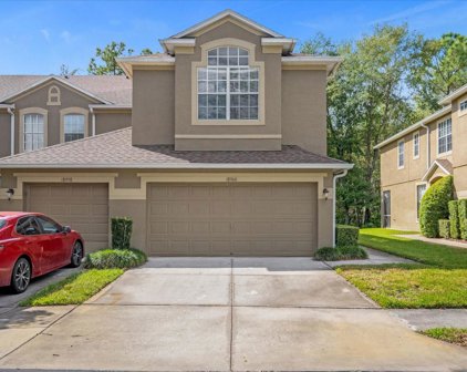 18960 Duquesne Drive, Tampa