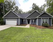 1316 Dreher Island Road, Chapin image