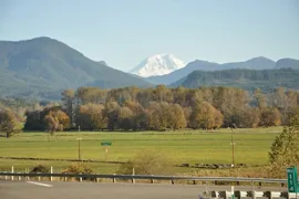 randle valley view