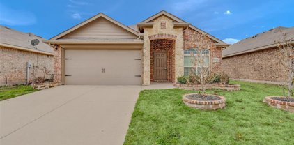 2228 Torch Lake  Drive, Forney